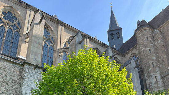 Bund der Deutschen Katholischen Jugend BDKJ